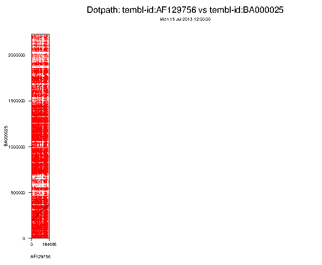 [dotpath results]